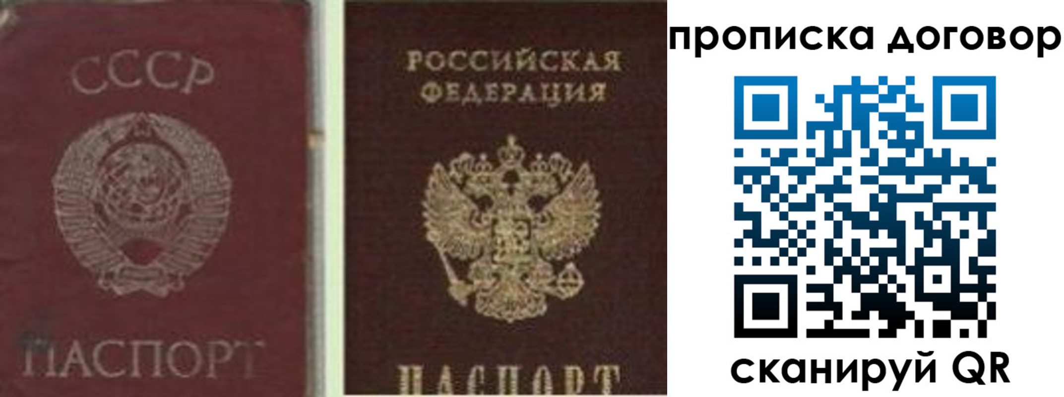 прописка гарантия в Петушках